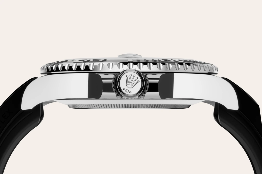 Bidirectional Rotatable Bezel