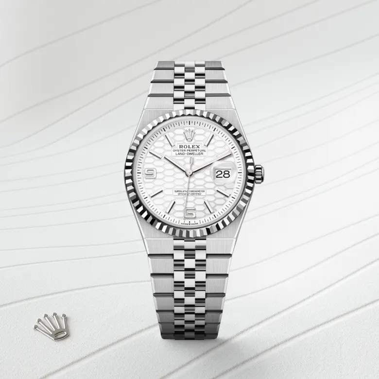 Rolex Land-Dweller 36 in 36 mm oystersteel and white gold, M127234-0001 - Cooke & Kelvey