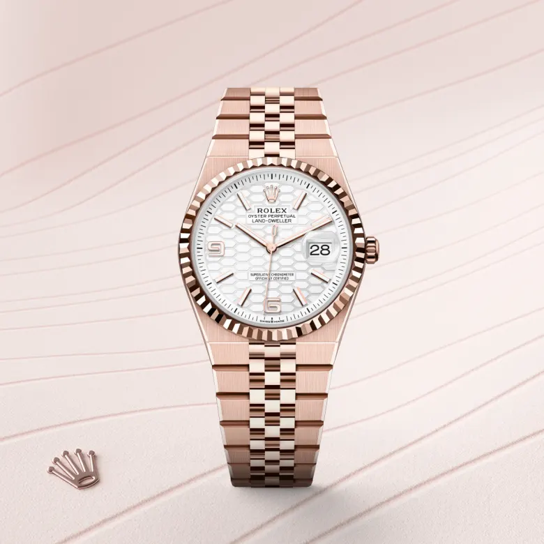 Rolex Land-Dweller 36 in 36 mm everose gold, M127235-0001 - Cooke & Kelvey