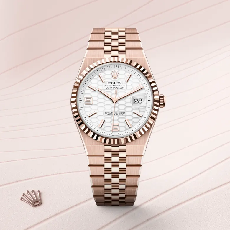Rolex Land-Dweller 40 in 40 mm everose gold, M127335-0001 - Cooke & Kelvey