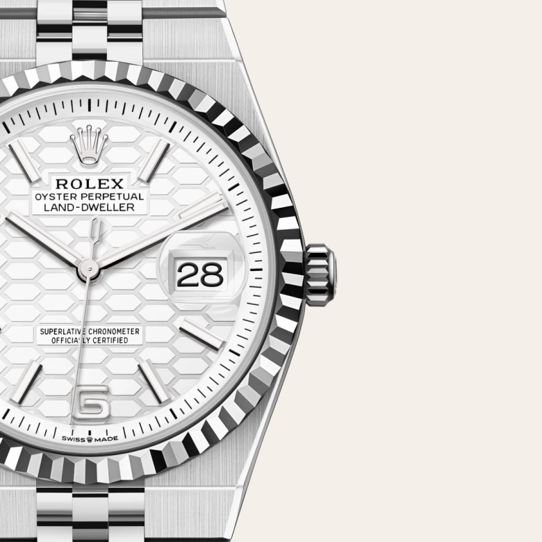 Rolex Land-Dweller 36 in 36 mm oystersteel and white gold, M127234-0001 - Cooke & Kelvey