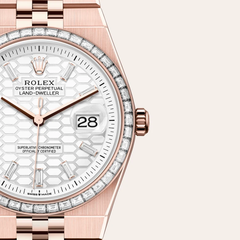 Rolex Land-Dweller 36 in 36 mm everose gold and diamonds, M127285TBR-0002 - Cooke & Kelvey