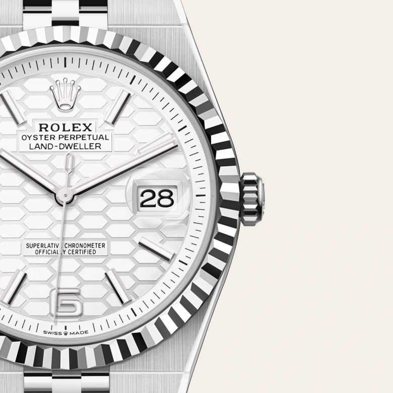Rolex Land-Dweller 40 in 40 mm oystersteel and white gold, M127334-0001 - Cooke & Kelvey