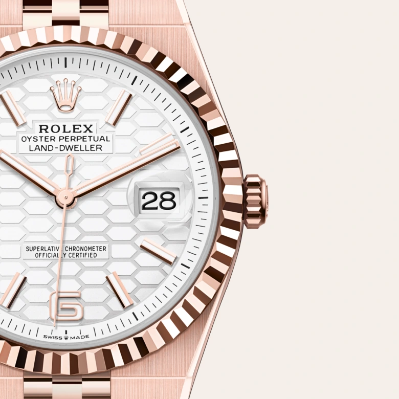 Rolex Land-Dweller 40 in 40 mm everose gold, M127335-0001 - Cooke & Kelvey