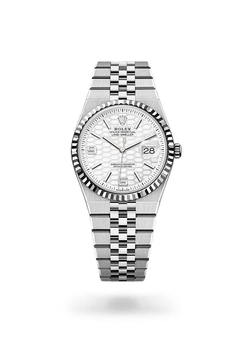 Rolex Land-Dweller 36 in 36 mm oystersteel and white gold, M127234-0001 - Cooke & Kelvey
