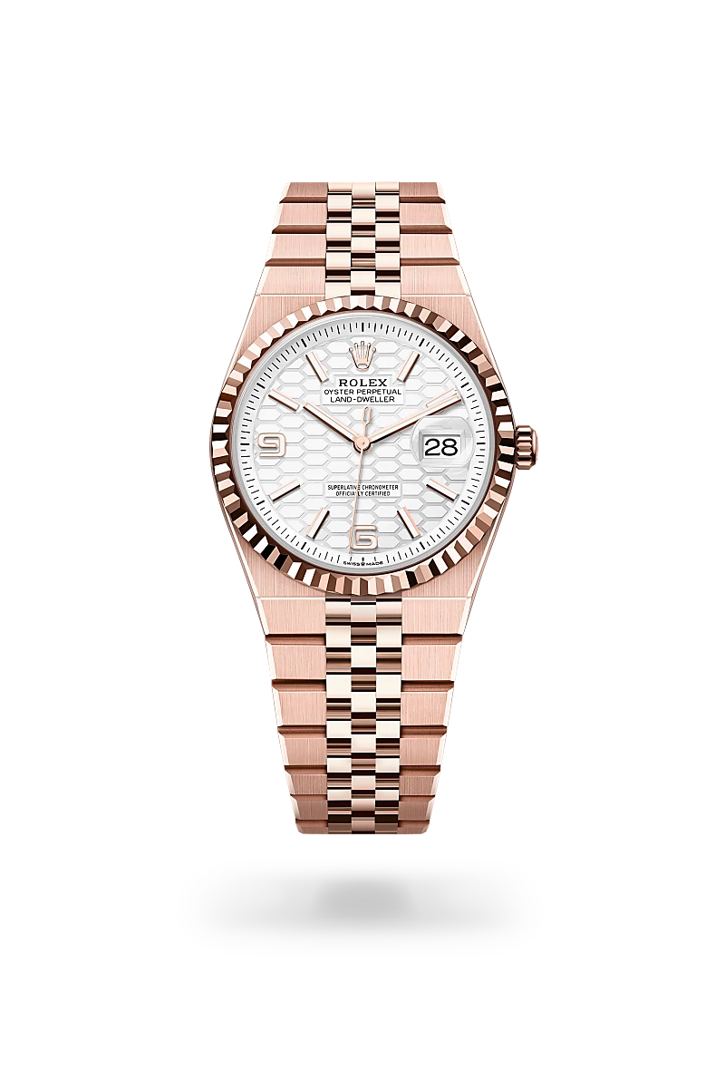 Rolex Land-Dweller 36 in 36 mm everose gold, M127235-0001 - Cooke & Kelvey