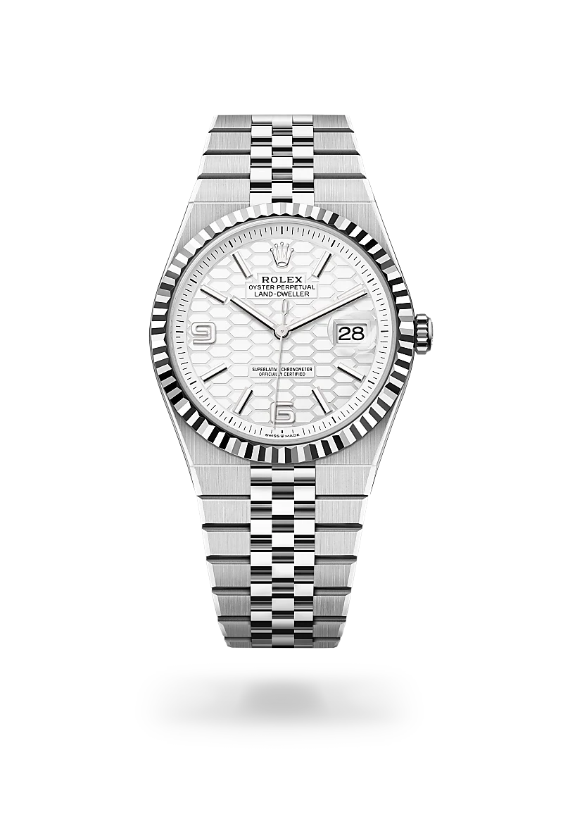 Rolex Land-Dweller 40 in 40 mm oystersteel and white gold, M127334-0001 - Cooke & Kelvey
