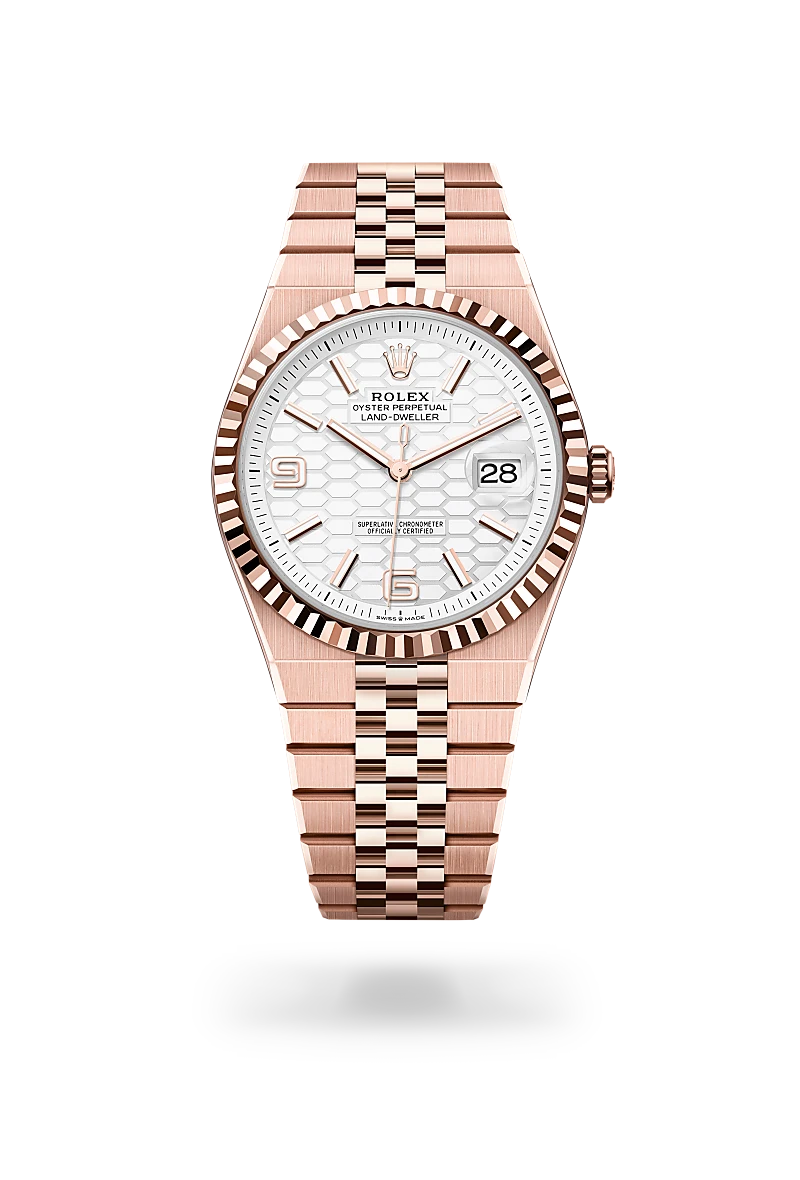 tudor-royal-available-models-img