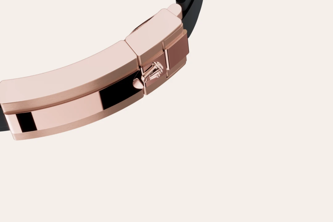 Bidirectional Rotatable Bezel