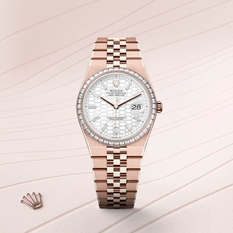 Rolex Land-Dweller 36 M127285TBR-0002 Cooke-and-Kelvey