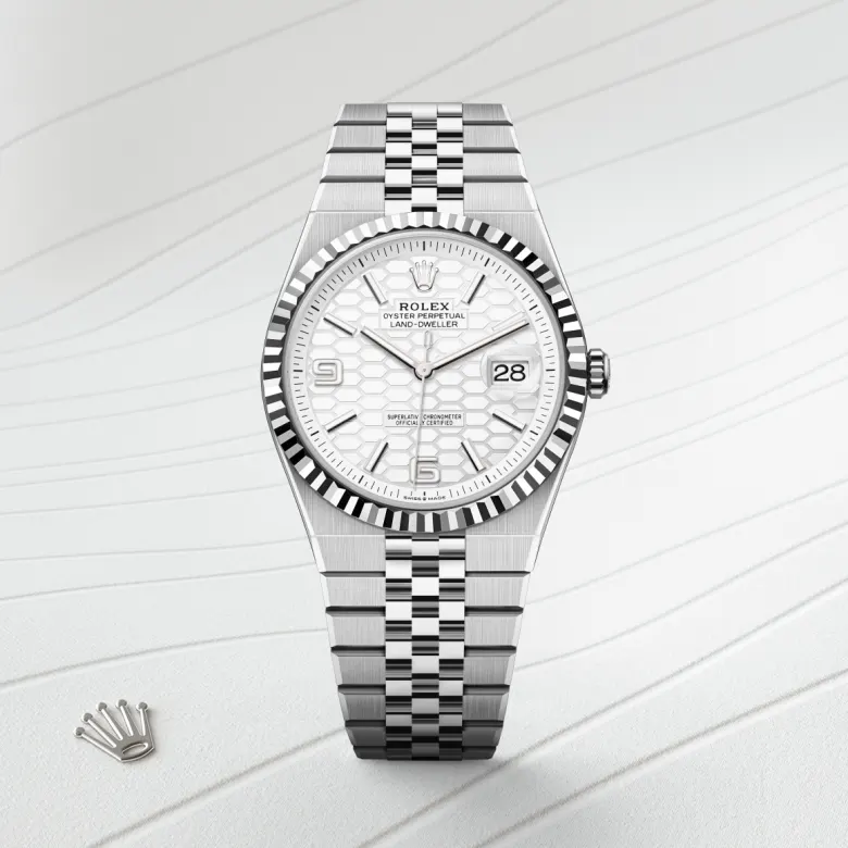 Rolex Land-Dweller 40 M127334-0001 Cooke-and-Kelvey