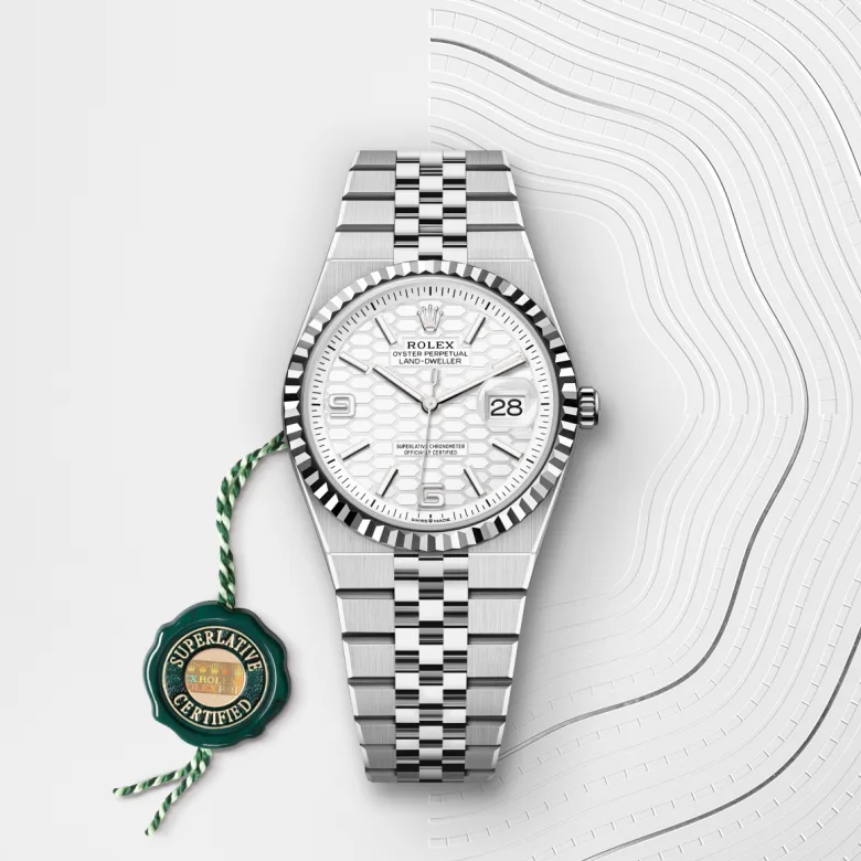 Rolex Land-Dweller 36 M127234-0001 Cooke-and-Kelvey