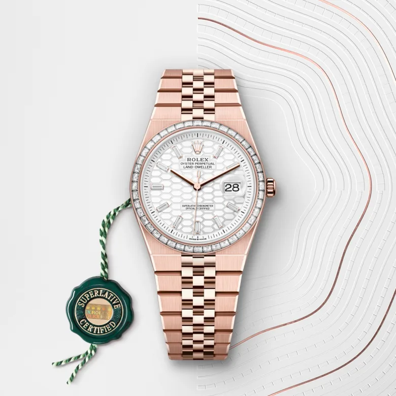 Rolex Land-Dweller 36 M127285TBR-0002 Cooke-and-Kelvey