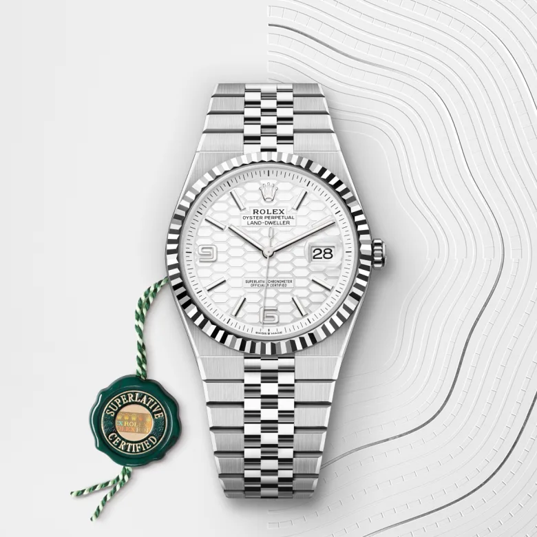 Rolex Land-Dweller 40 M127334-0001 Cooke-and-Kelvey