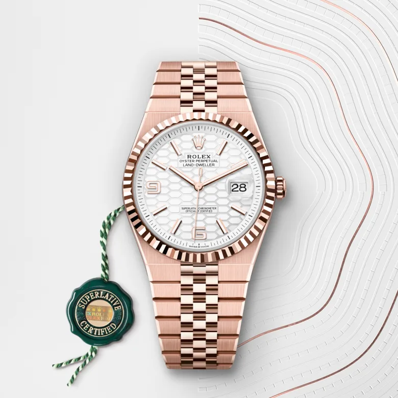 Rolex Land-Dweller 40 M127335-0001 Cooke-and-Kelvey