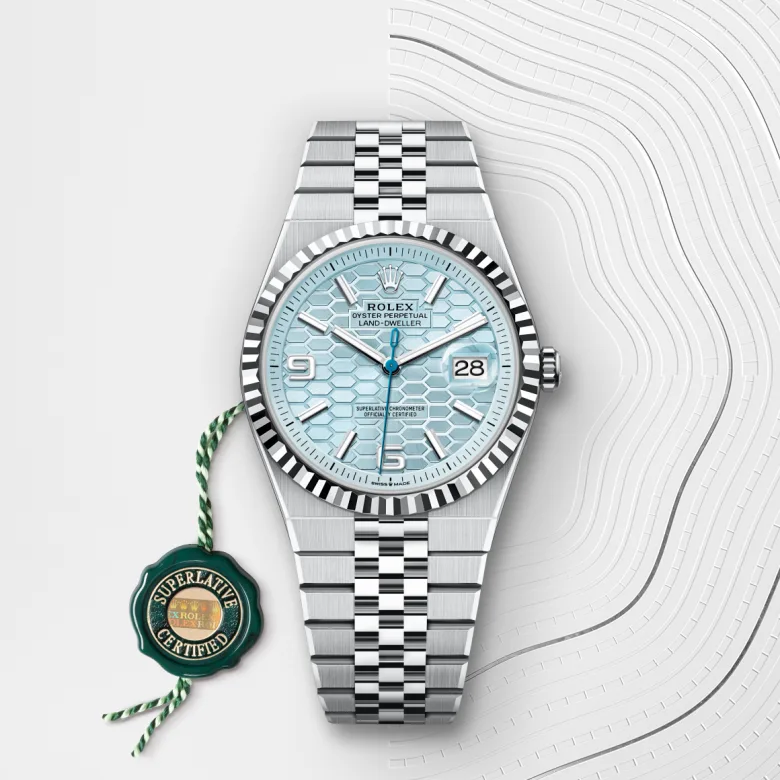 Rolex Land-Dweller 40 M127336-0001 Cooke-and-Kelvey