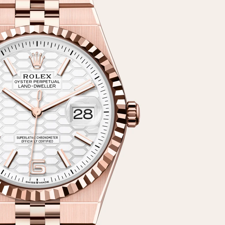 Rolex Land-Dweller 36 M127235-0001 Cooke-and-Kelvey