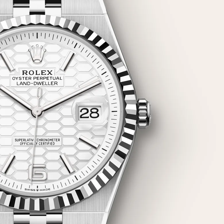Rolex Land-Dweller 40 M127334-0001 Cooke-and-Kelvey