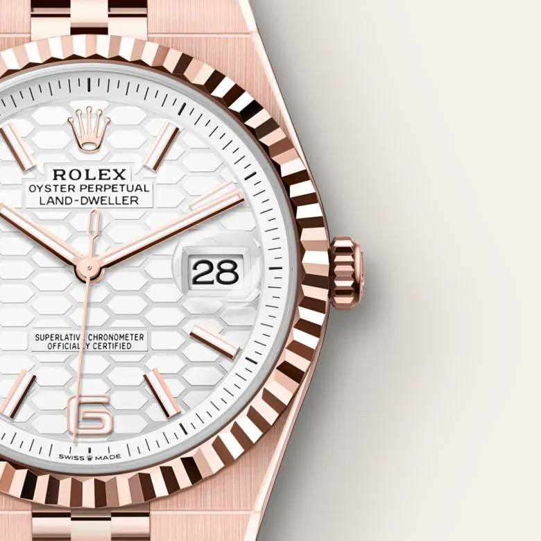 Rolex Land-Dweller 40 M127335-0001 Cooke-and-Kelvey