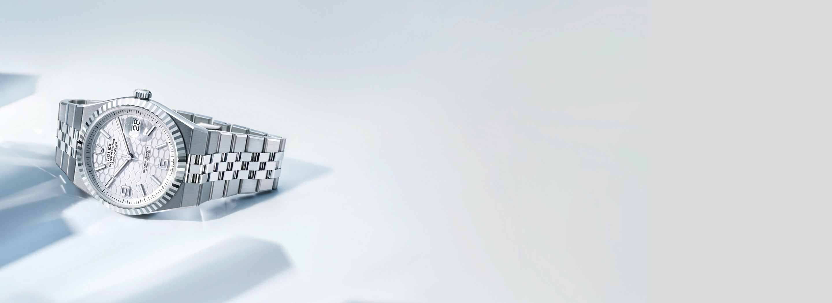 Homepage Banner - 1