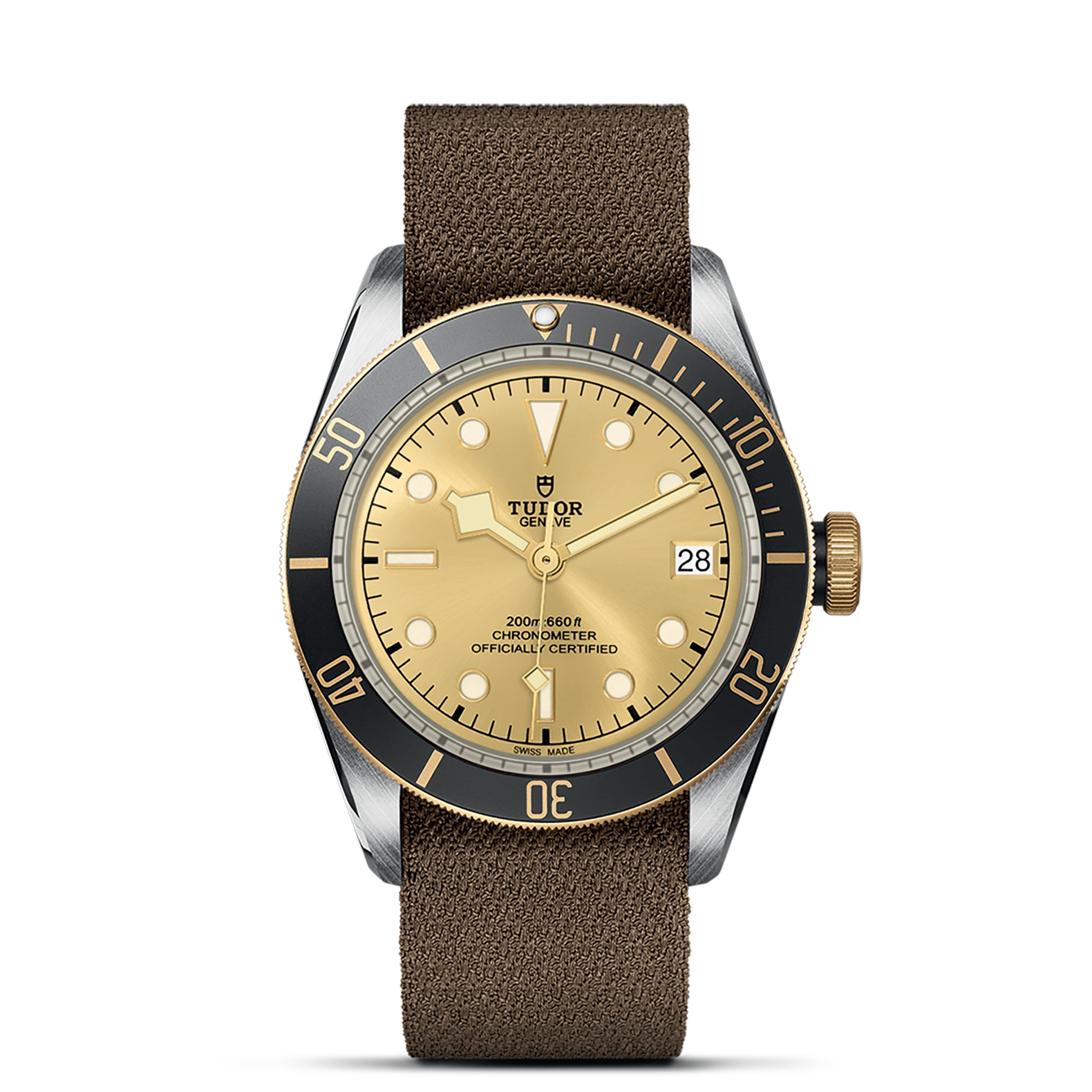 Tudor Black Bay S&G - Model No. M79733N-0006
