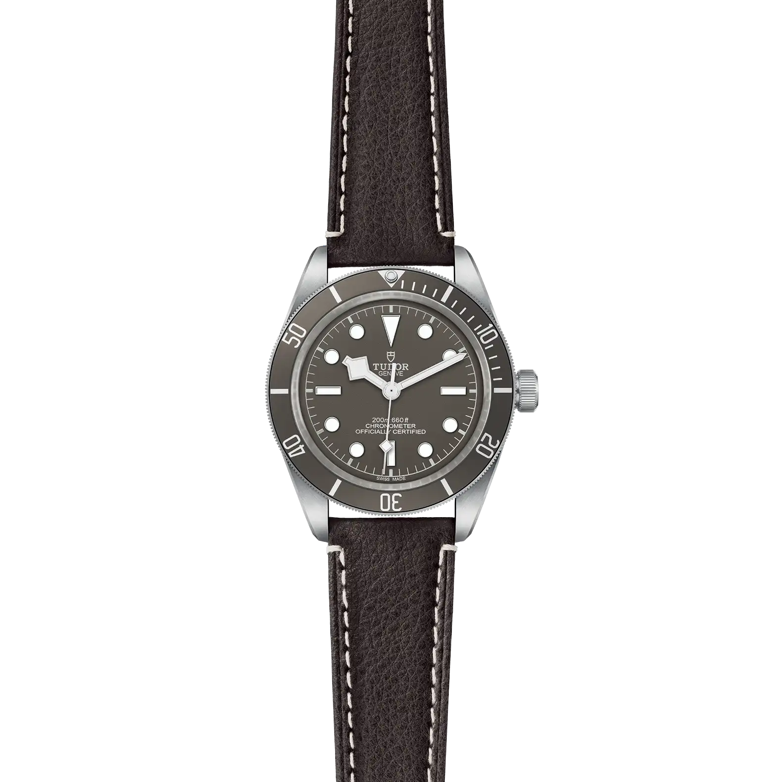 Tudor Black Bay 58 925 - Model No. M79010SG-0001
