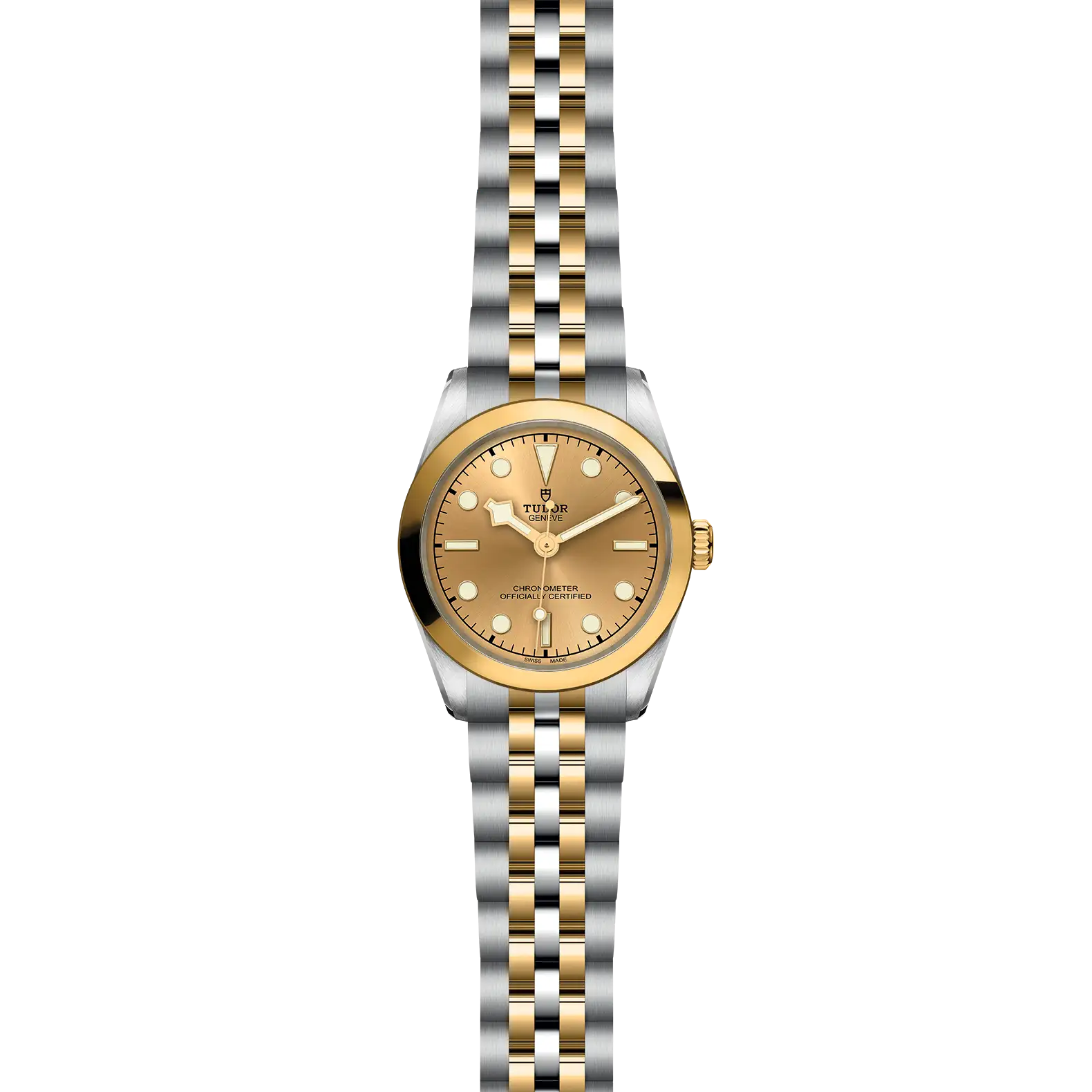 Tudor Black Bay One 31 S&G - Model No. M79603-0005