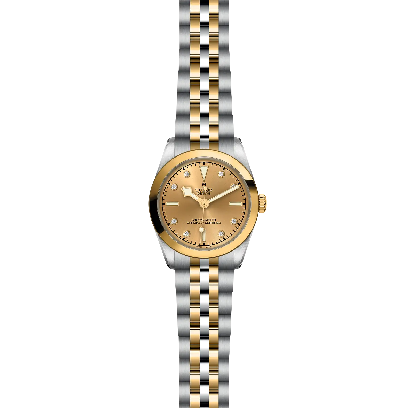 Tudor Black Bay One 31 S&G - Model No. M79603-0008