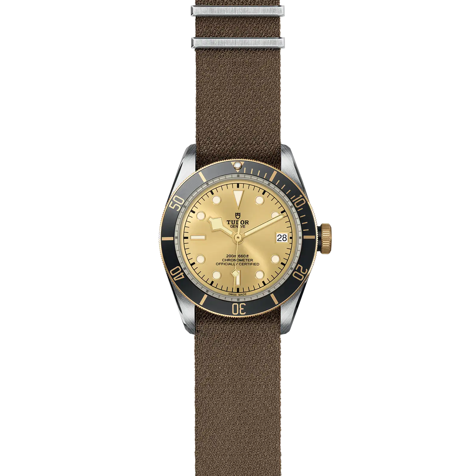 Tudor Black Bay S&G - Model No. M79733N-0006