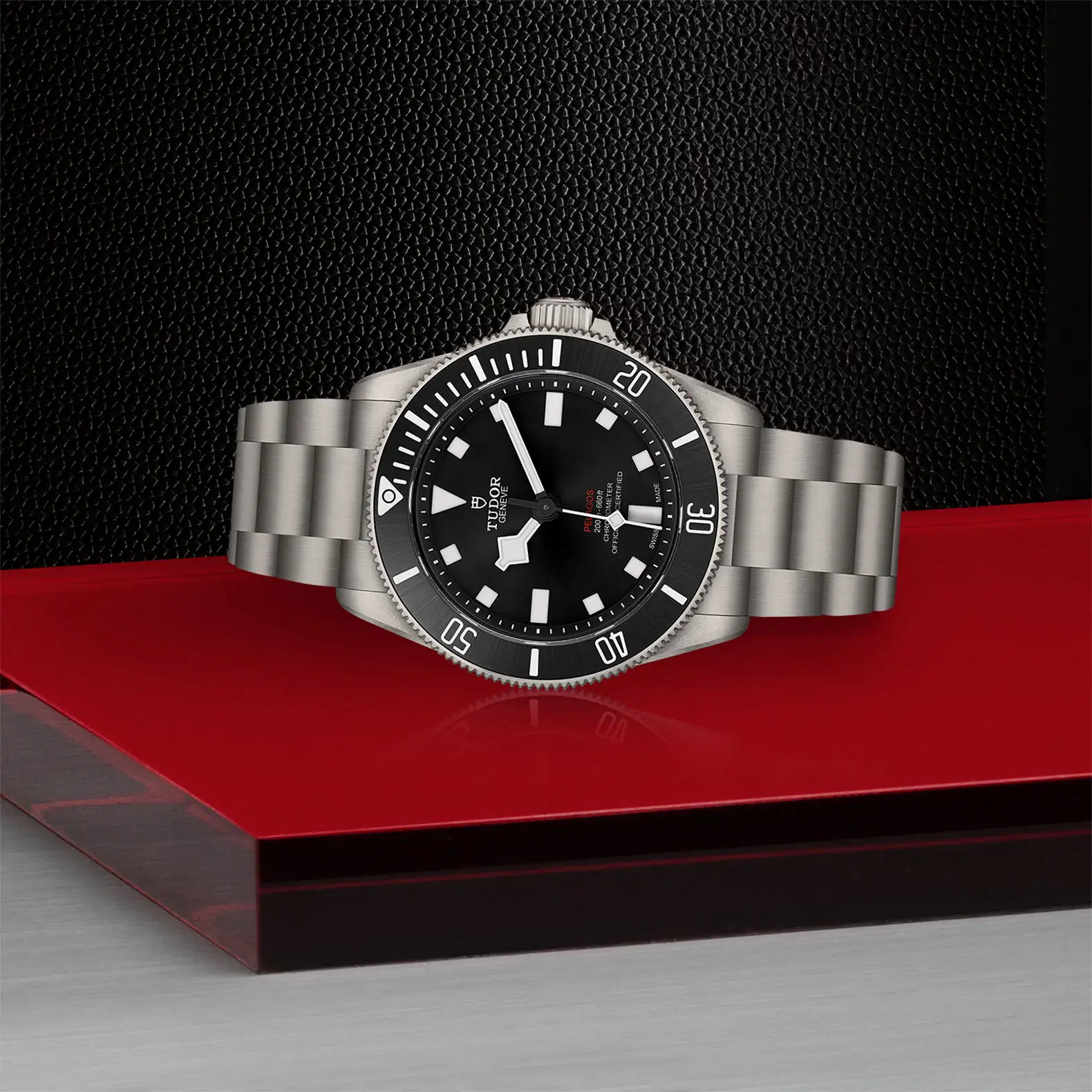 Tudor Pelagos 39 - Model No. M25407N-0001