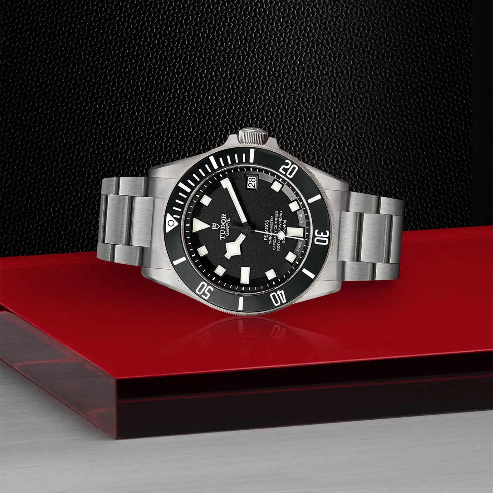 Tudor Pelagos - Model No. M25600TN-0001