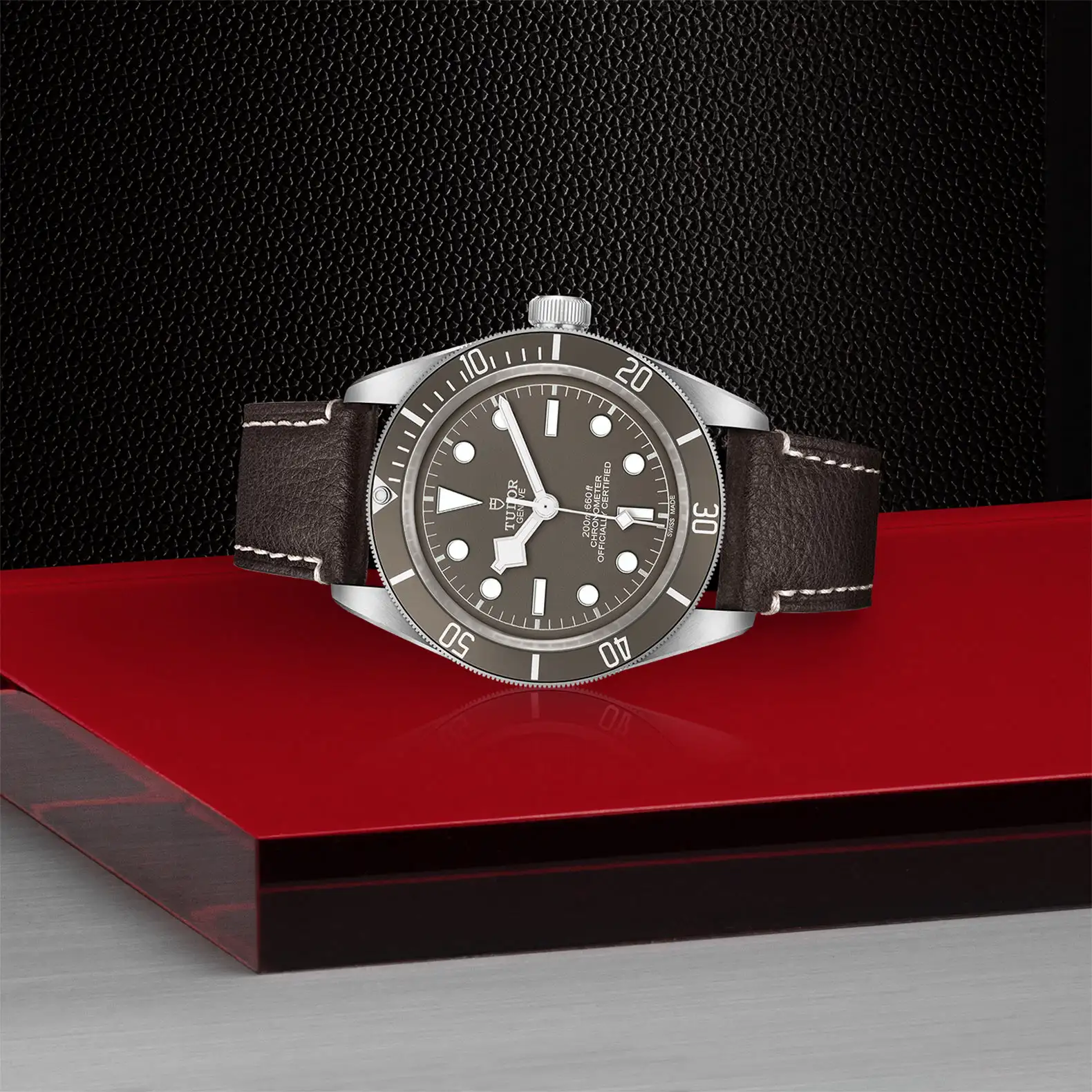 Tudor Black Bay 58 925 - Model No. M79010SG-0001