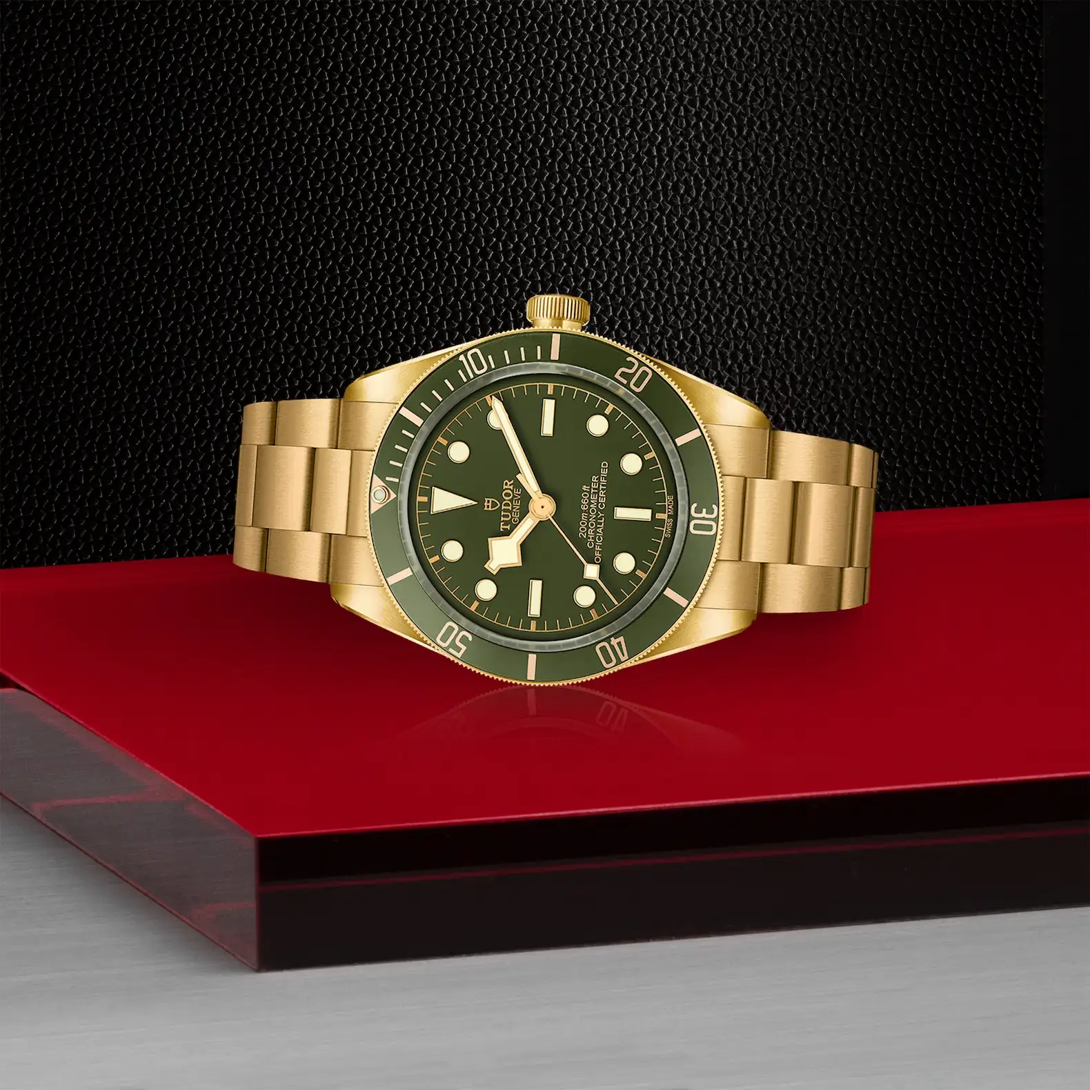 Tudor Black Bay 58 18K - Model No. M79018V-0006