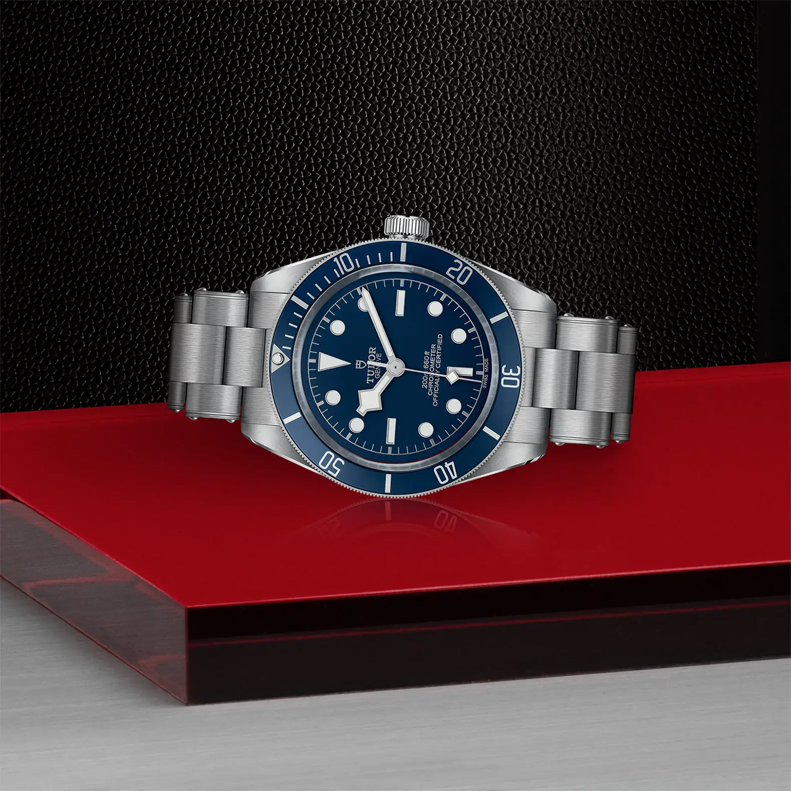 Tudor Black Bay 58 - Model No. M79030B-0001