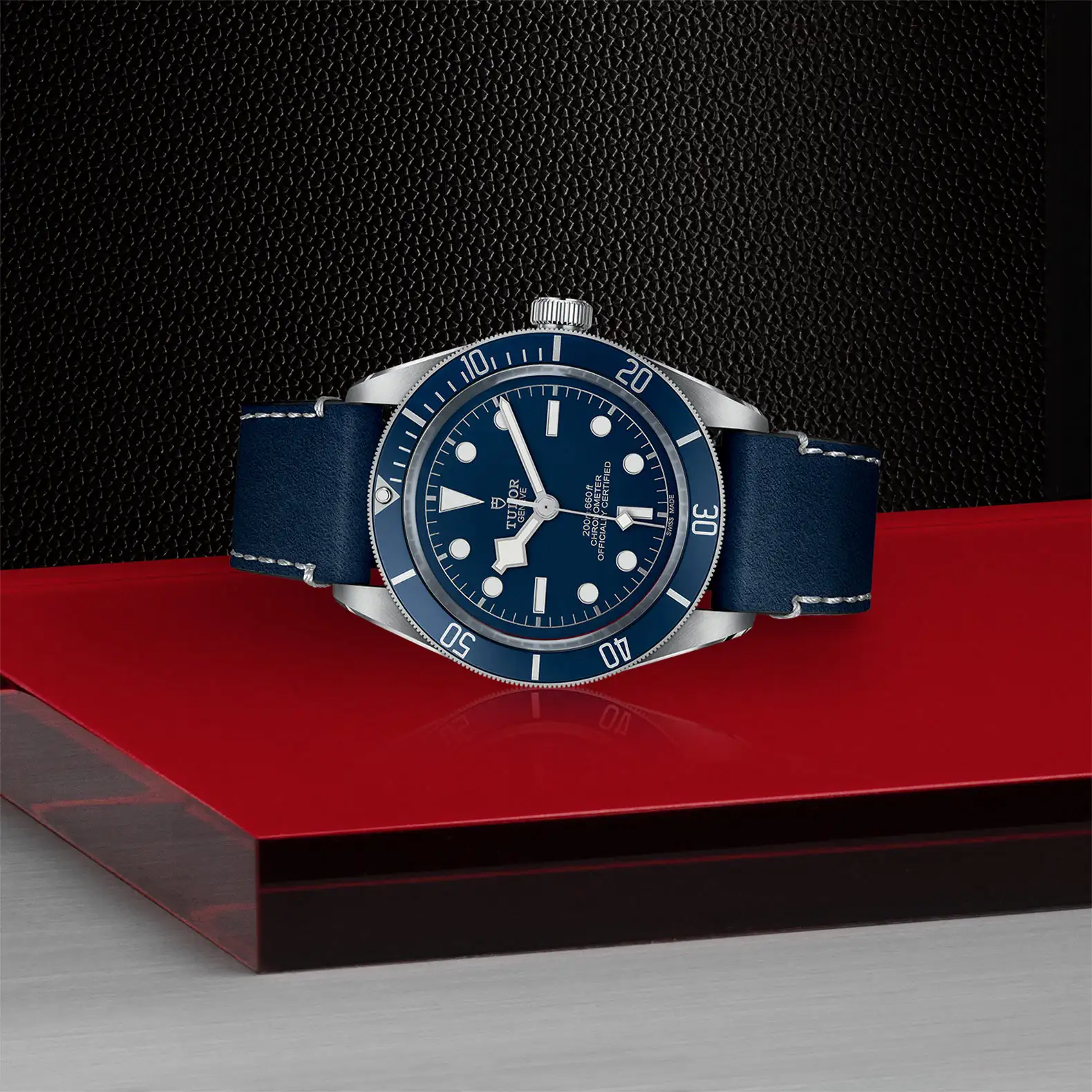 Tudor Black Bay 58 - Model No. M79030B-0002