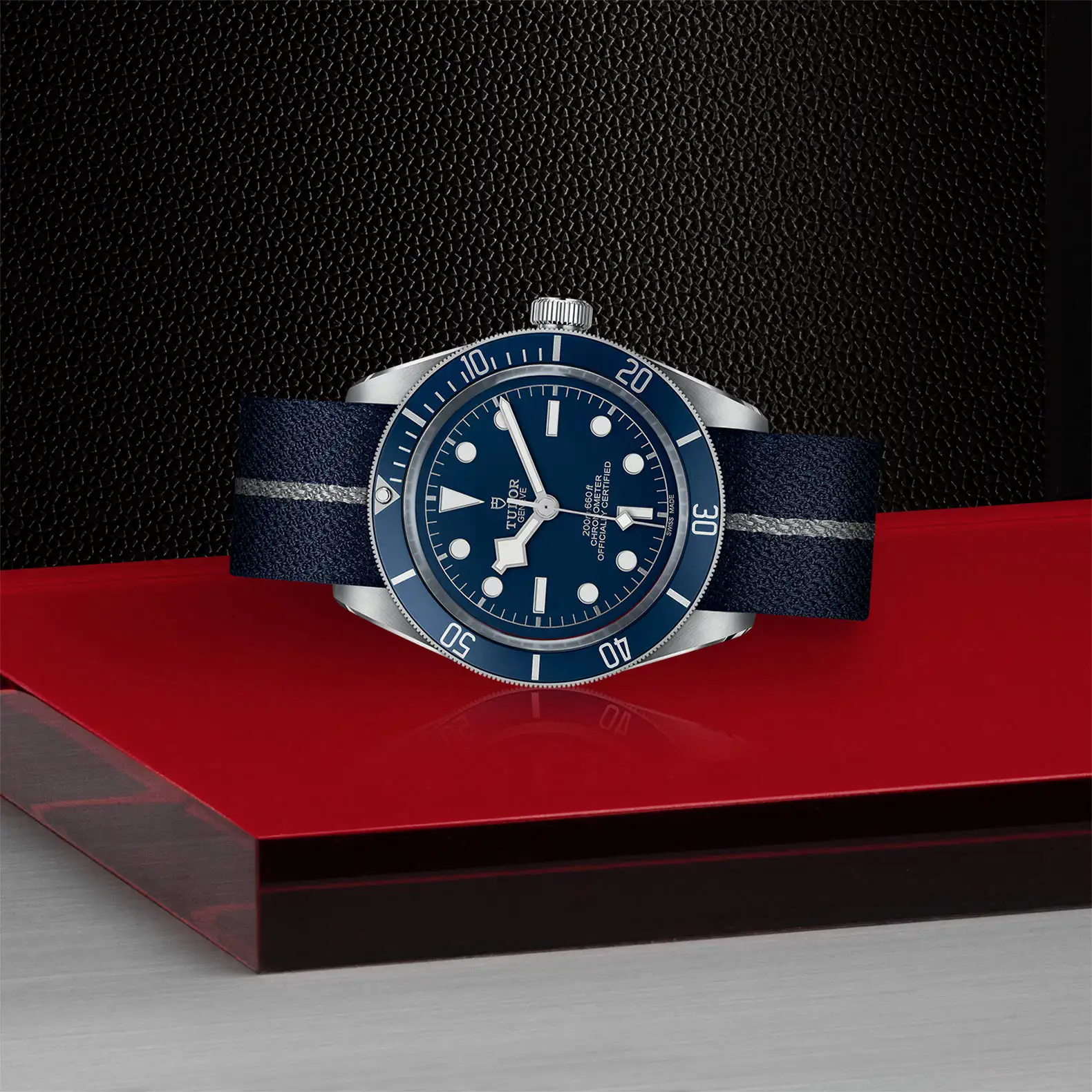 Tudor Black Bay 58 - Model No. M79030B-0003