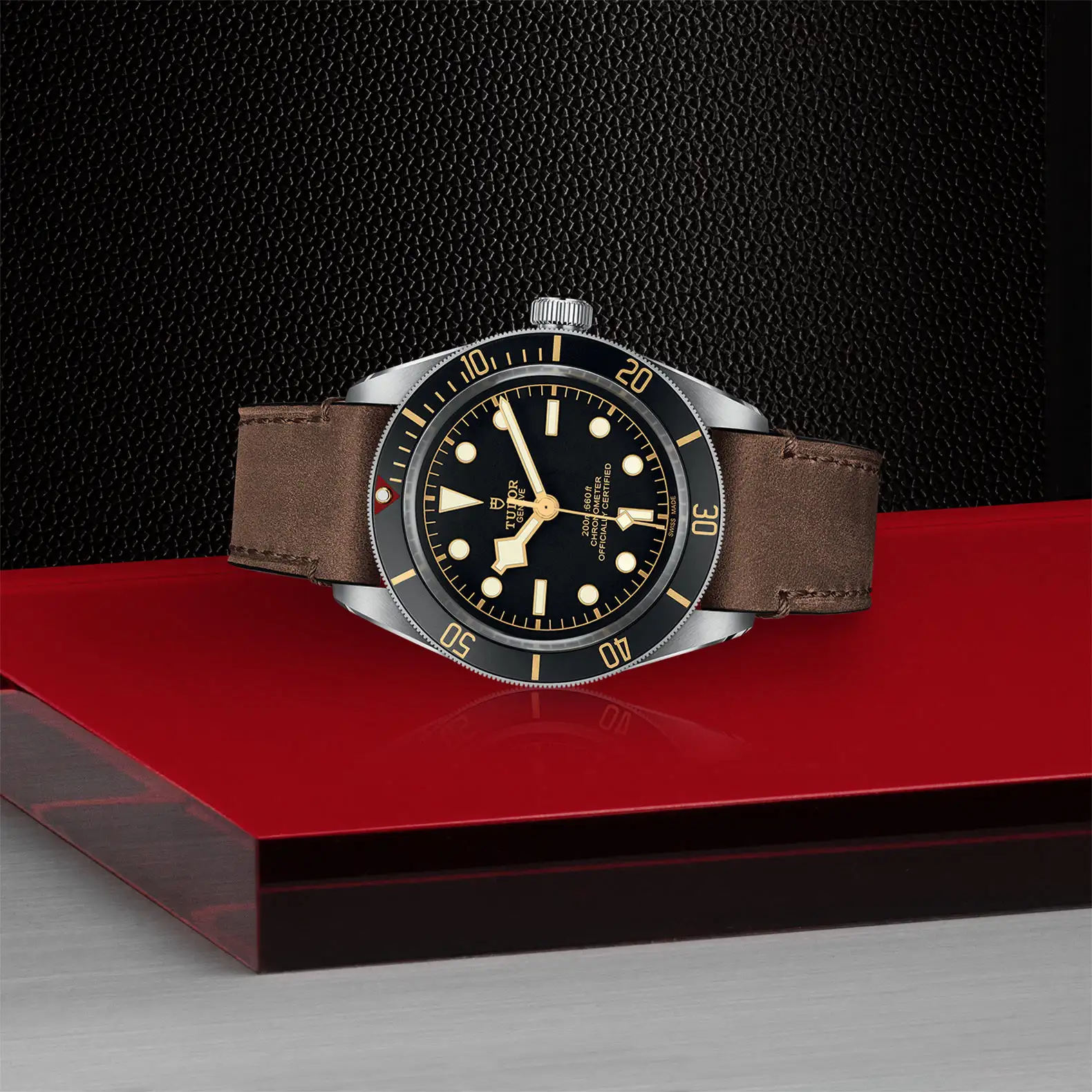Tudor Black Bay 58 - Model No. M79030N-0002