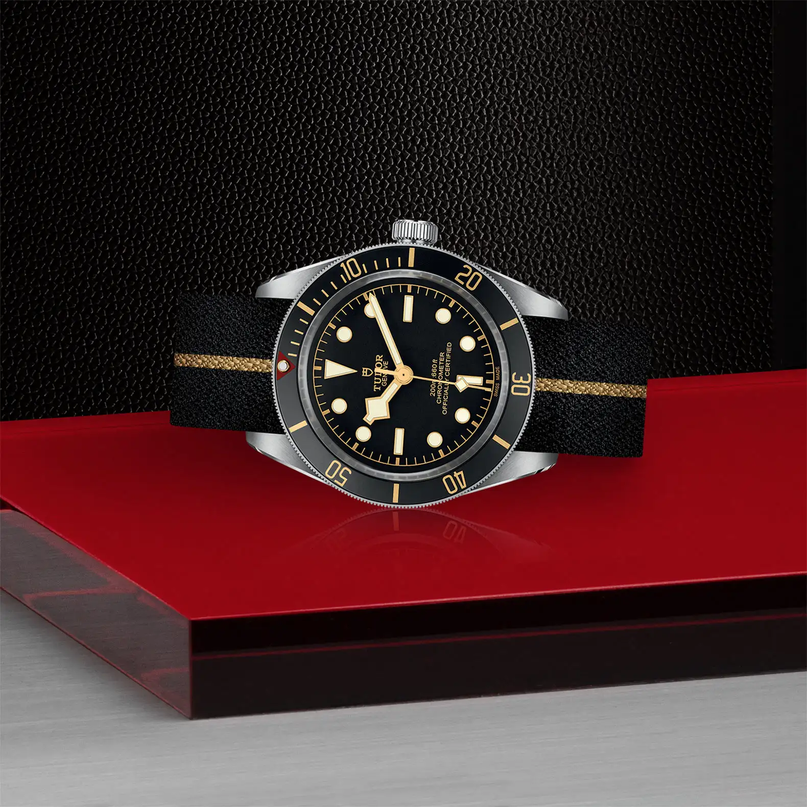 Tudor Black Bay 58 - Model No. M79030N-0003