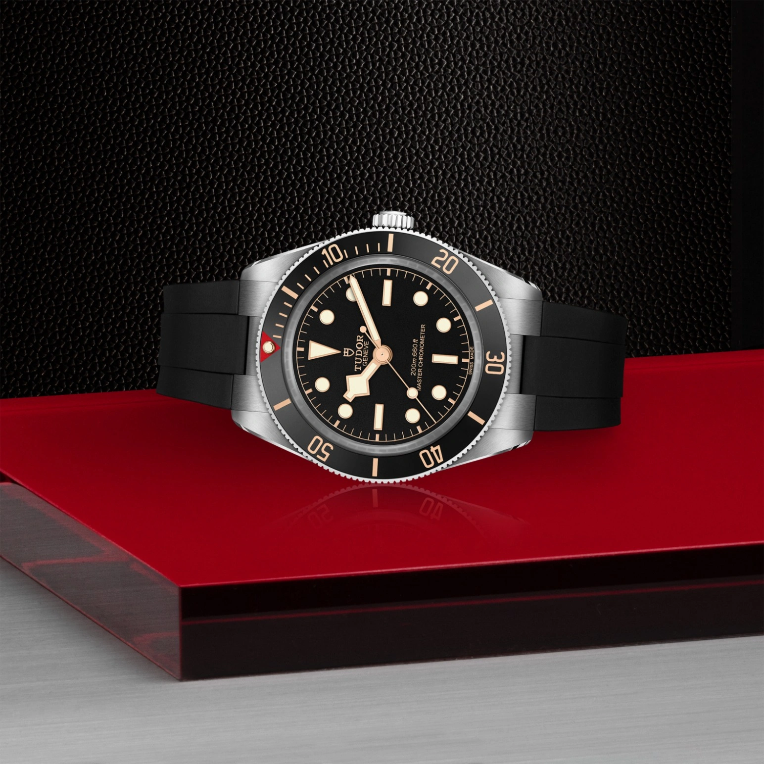 Tudor Black Bay 58 - Model No. M7939A1A0NU-0003