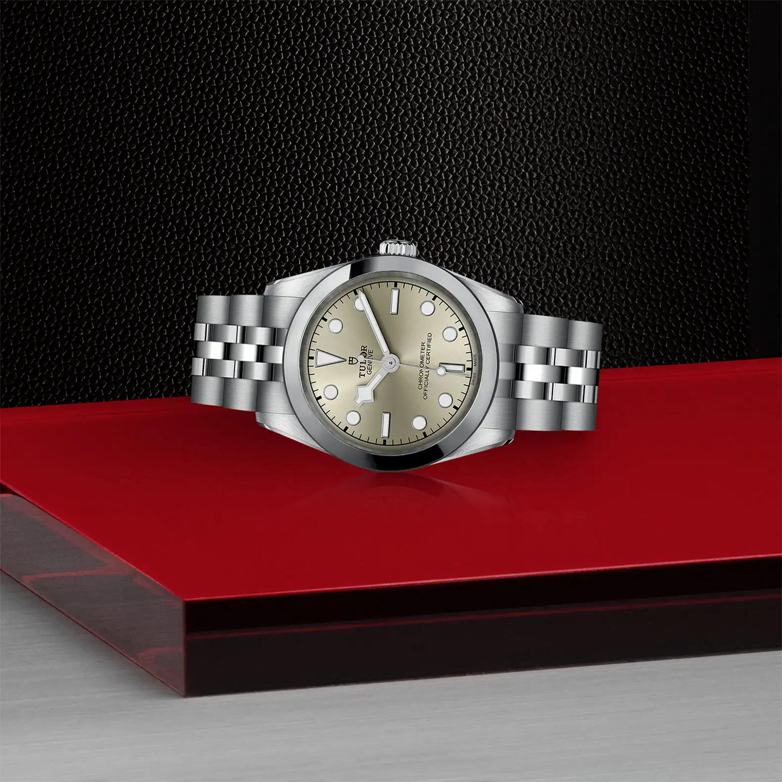 Tudor Black Bay One 31 - Model No. M79600-0003