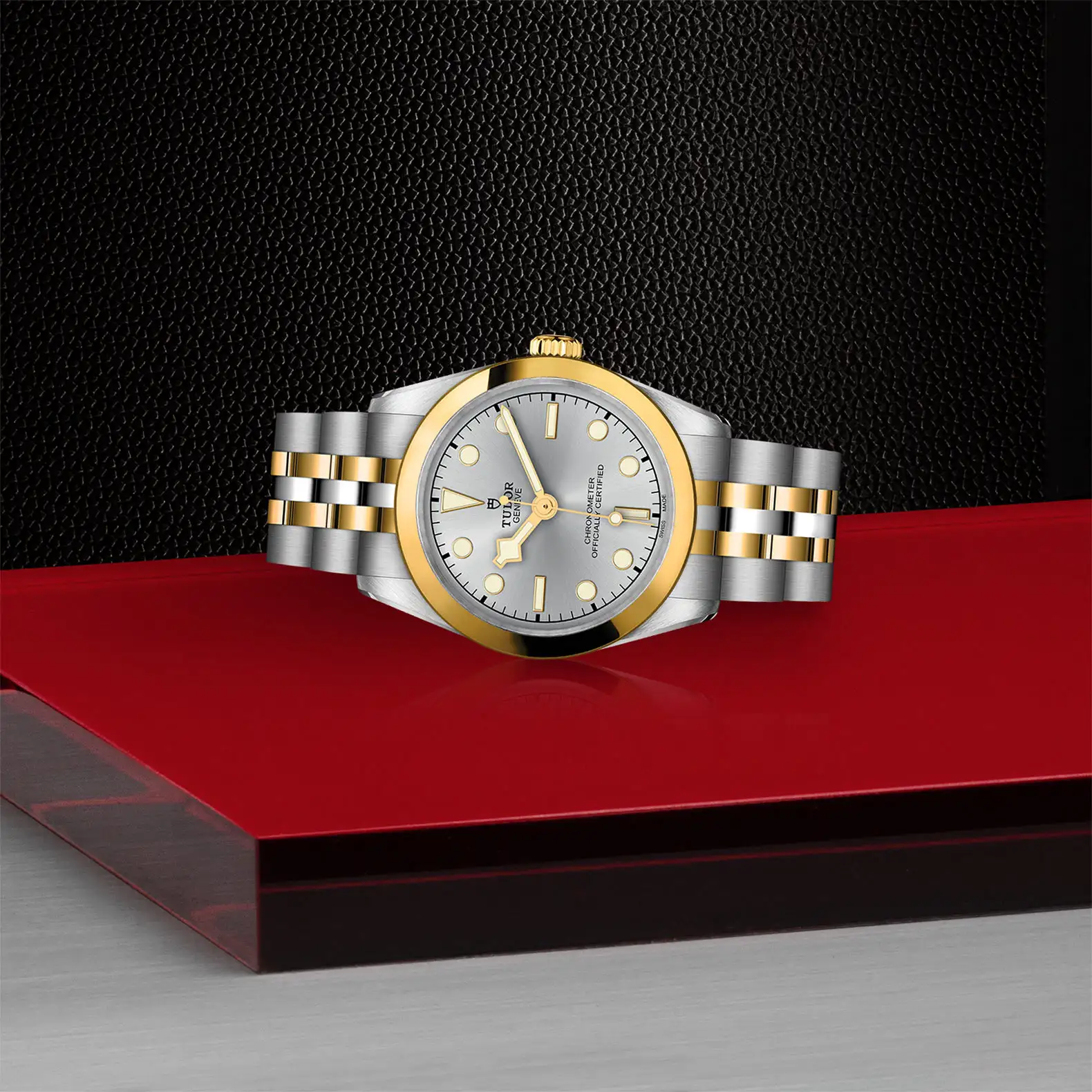 Tudor Black Bay One 31 S&G - Model No. M79603-0002