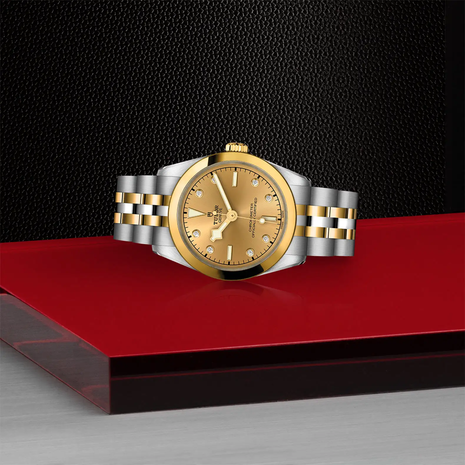 Tudor Black Bay One 31 S&G - Model No. M79603-0008
