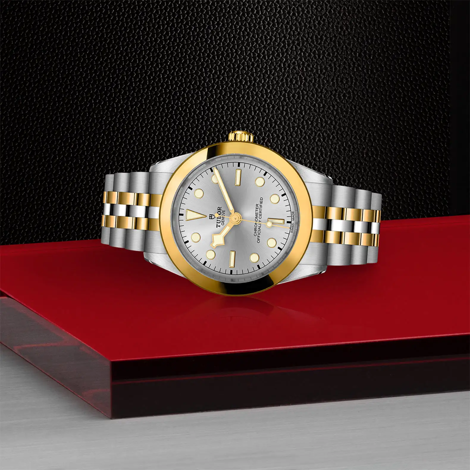 Tudor Black Bay One 39 S&G - Model No. M79663-0002