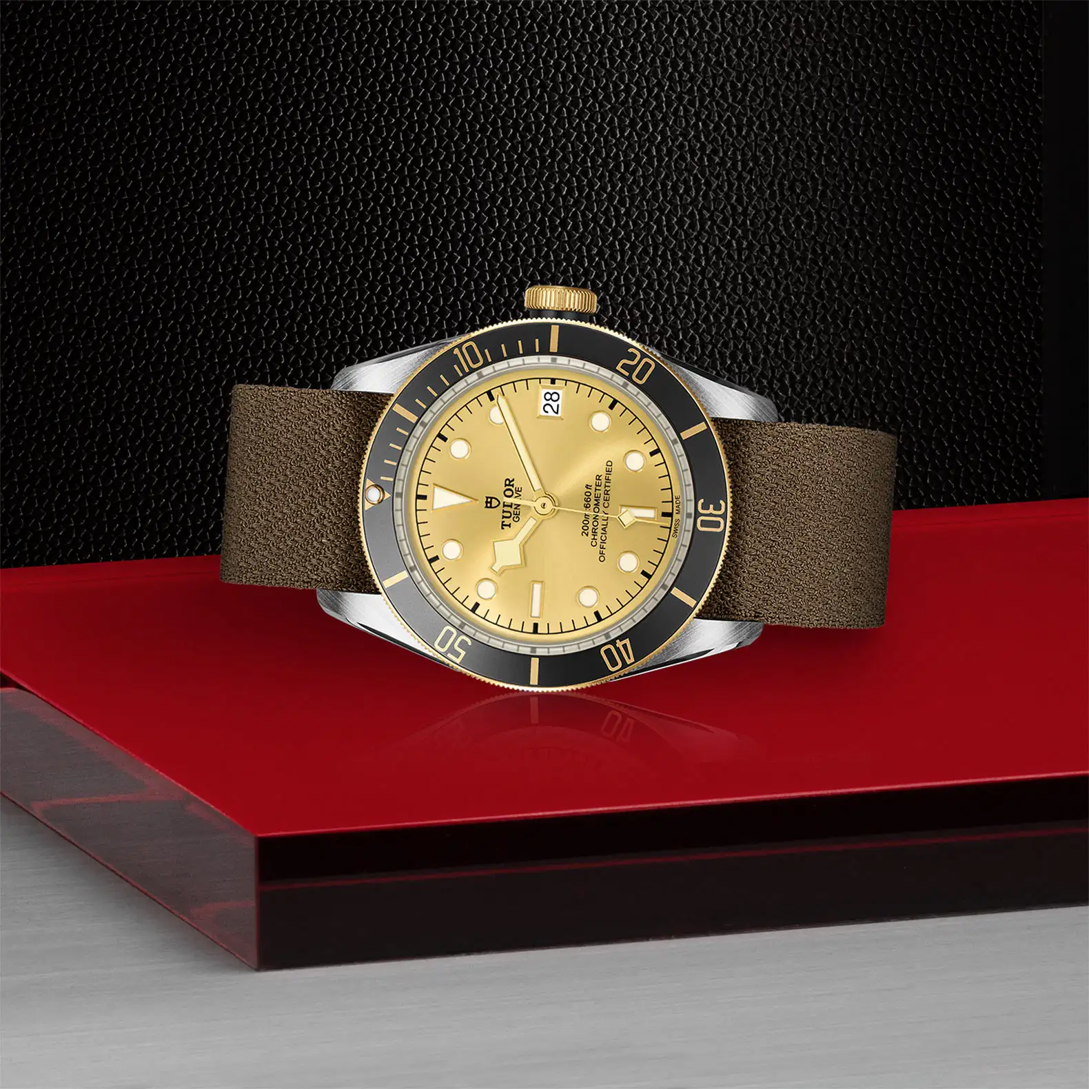 Tudor Black Bay S&G - Model No. M79733N-0006