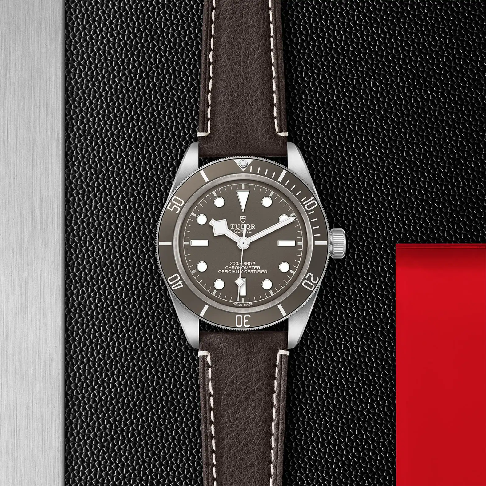 Tudor Black Bay 58 925 - Model No. M79010SG-0001