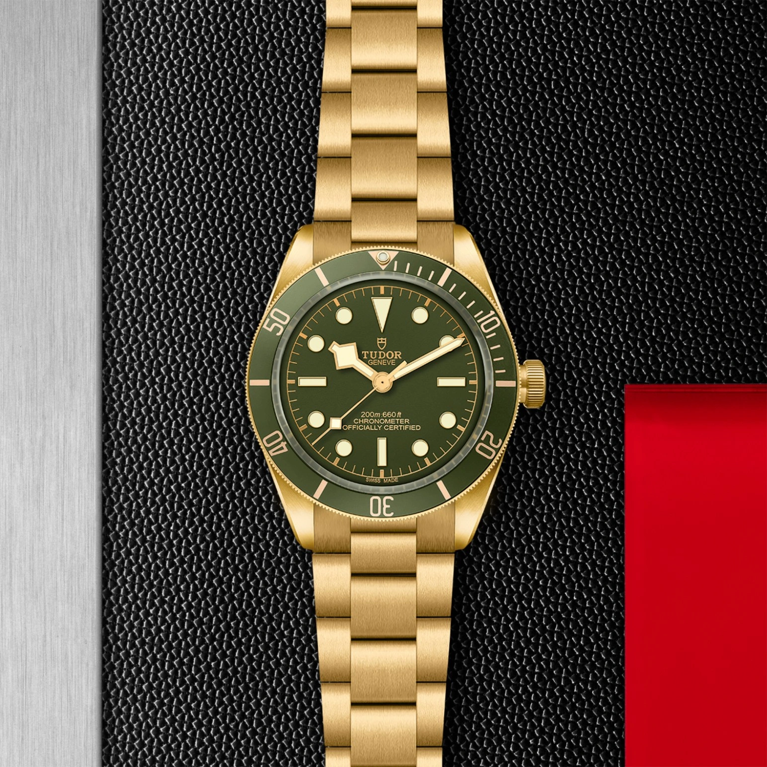 Tudor Black Bay 58 18K - Model No. M79018V-0006
