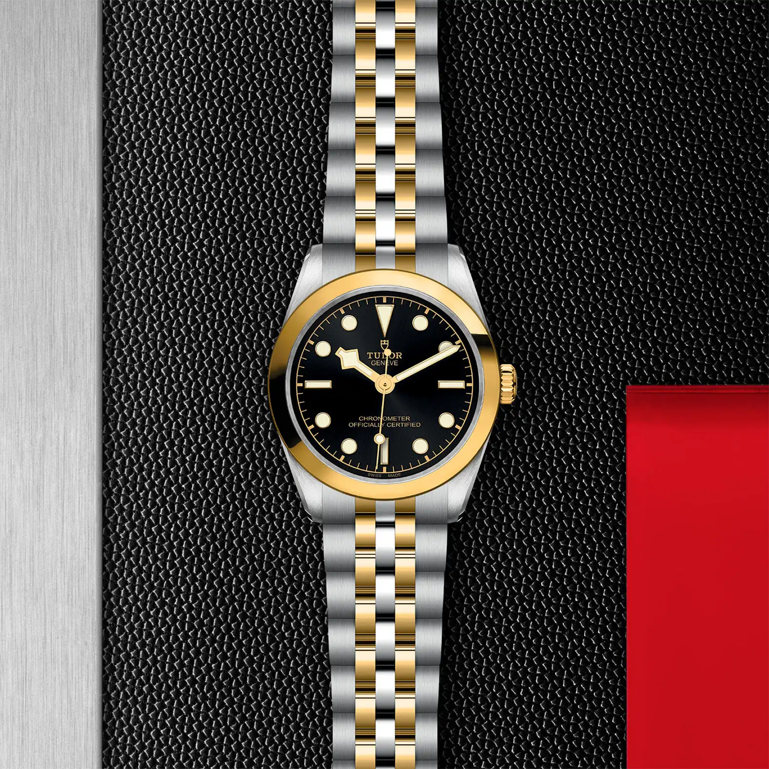 Tudor Black Bay One 31 S&G - Model No. M79603-0001