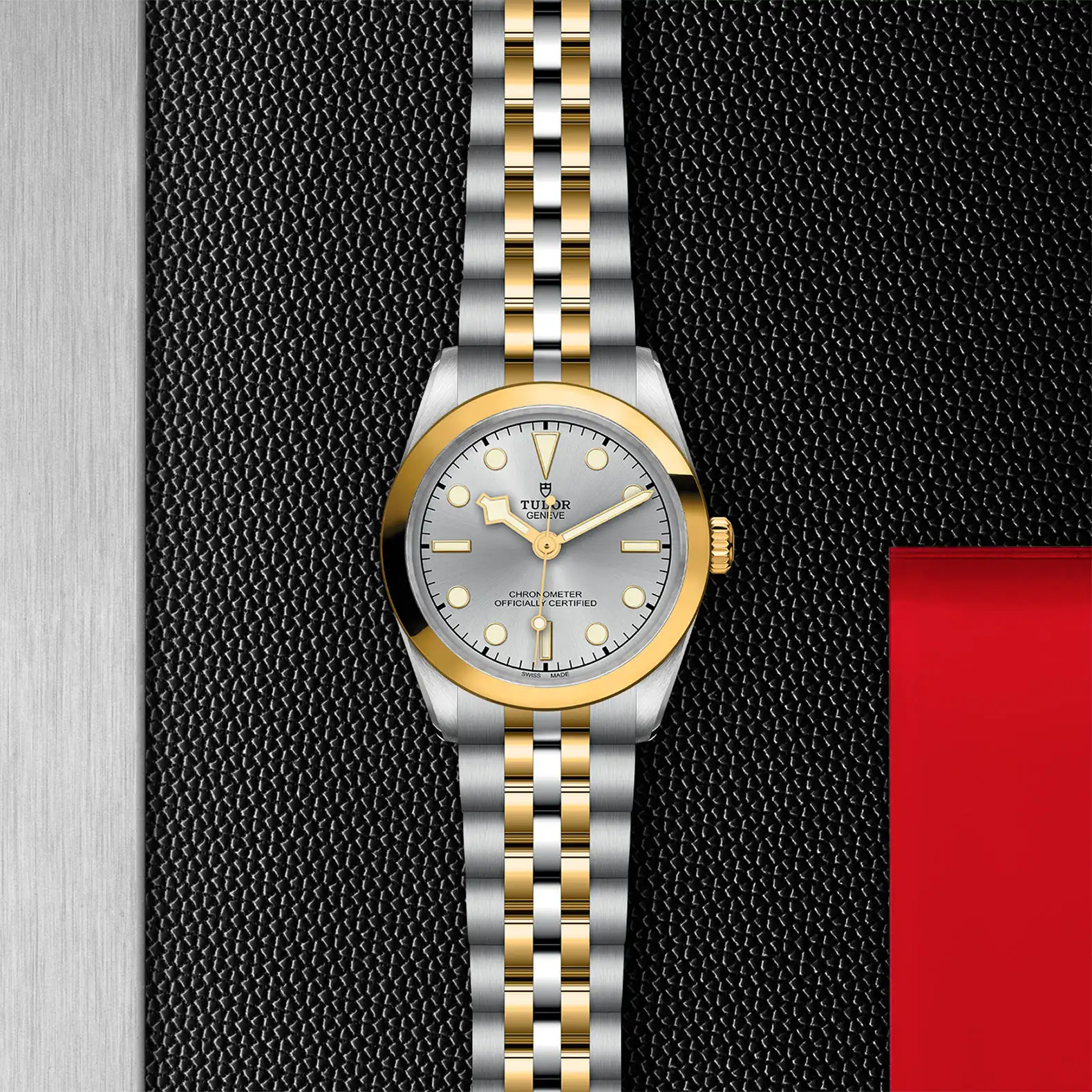 Tudor Black Bay One 31 S&G - Model No. M79603-0002