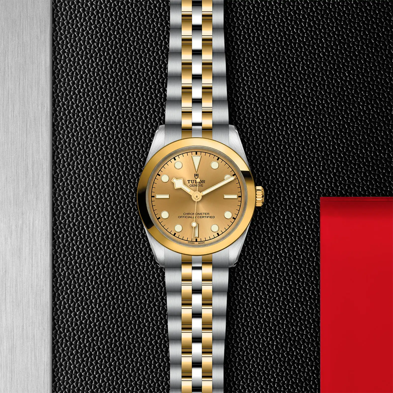 Tudor Black Bay One 31 S&G - Model No. M79603-0005