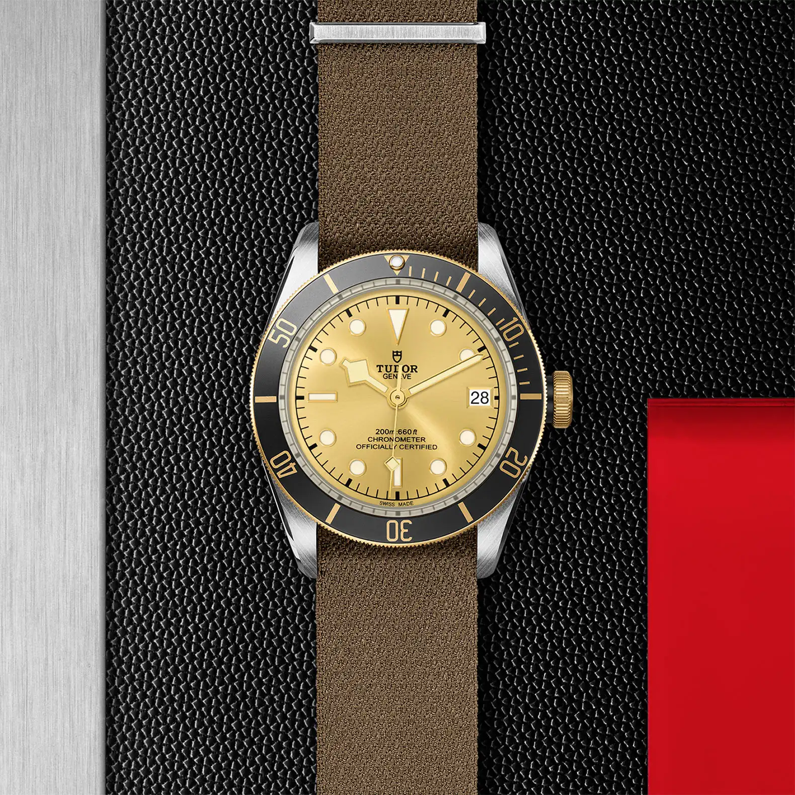 Tudor Black Bay S&G - Model No. M79733N-0006